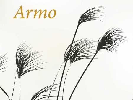 Armo Discount