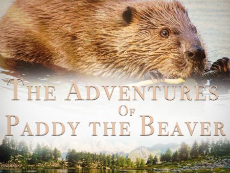 Adventures of Paddy the Beaver, The For Sale